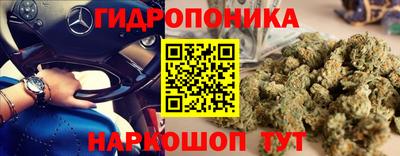 ПСИЛОЦИБИНОВЫЕ ГРИБЫ Партизанск